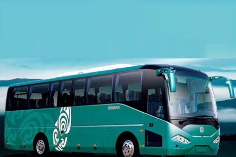 中通純電動(dòng)城市客車LCK6109EV