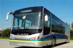 中通LCK6121HEV混合動(dòng)力客車(chē)