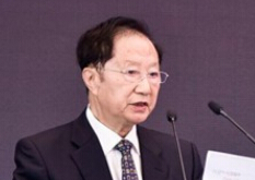 2020前景如何？——陳清泰：新能源大浪淘沙階段要堅定信心