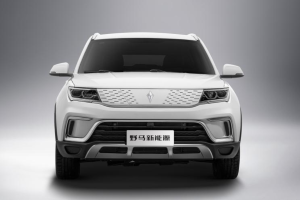 2021款野馬EC60正式上市 售12.90萬元