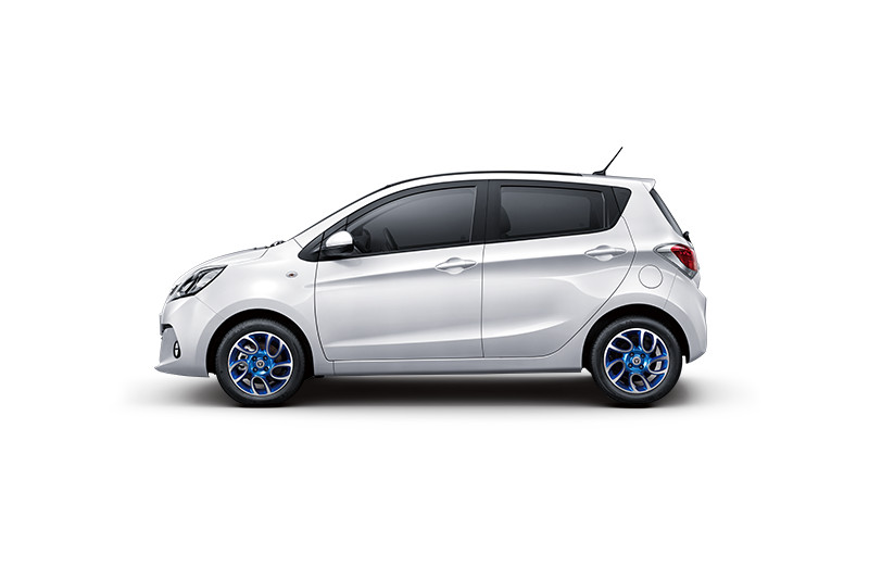 長(zhǎng)安新能源 奔奔EV 2019款 改款 EV360 標(biāo)準(zhǔn)型