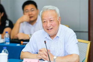 訪談錄|王秉剛：關(guān)于碳排放、氫重卡等五大熱點(diǎn)問題的思考