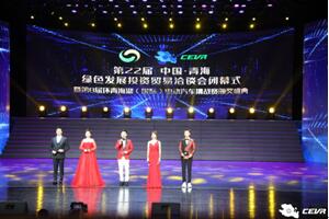 大獎花落誰家？ 第八屆CEVR電動汽車挑戰(zhàn)賽頒獎盛典“群星閃耀”