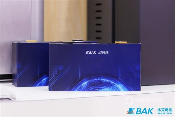 比克電池