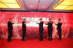 長三角燃料電池汽車產(chǎn)業(yè)化發(fā)展研討會暨“燃料電池專委會”成立儀式召開