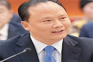 全國人大代表劉漢元：進(jìn)一步加快構(gòu)建智慧電網(wǎng)