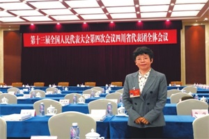全國人大代表趙萍：建議將成渝城市群納入氫燃料汽車示范城市名單
