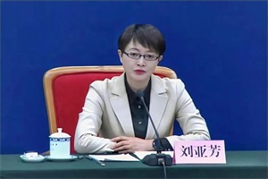 國家能源局劉亞芳：氫能清潔低碳發(fā)展原則