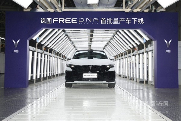 嵐圖FREE DNA