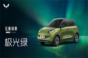 四款心動(dòng)車色可選 大空間五門純電車五菱繽果正式亮相