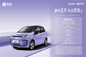 全系最高優(yōu)惠3000元 思皓花仙子四葉草上市