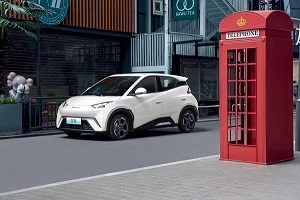 海洋家族新成員：海鷗爭做“新一代主流代步車”