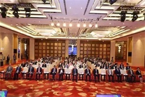 會(huì)議|助力碳綜合目標(biāo)的實(shí)現(xiàn) 萬鋼、陳清泉等專家研訂氫能與燃料電池標(biāo)準(zhǔn)