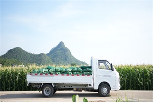“消費(fèi)促進(jìn)年”五菱貨車家族10億現(xiàn)金補(bǔ)貼，助力開(kāi)門紅!