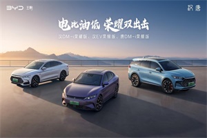 電比油低，全面顛覆，漢唐榮耀版上市，售價16.98～25.98萬元