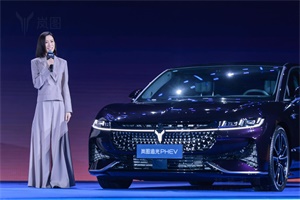 高知名人，為什么都喜歡選擇嵐圖追光PHEV?