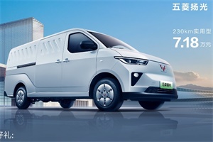 售7.18萬元起，五菱揚光新能源商用車正式上市!