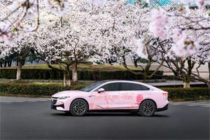 嵐圖汽車攜手武漢文旅打造賞櫻專線，為游客提供便捷舒適的體驗!