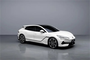 將于2024北京車展首發(fā)，騰勢(shì)Z9GT申報(bào)圖曝光