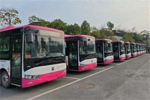助力古鄰州公交體系再升級(jí)!批量亞星“紫荊粉” 純電客車交付鄰水