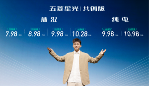 提供插混純電兩種形式：五菱星光共創(chuàng)版上市