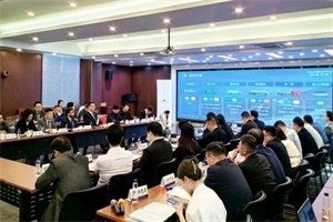“為阿拉伯國家用戶而造車”，開沃參加投資阿聯(lián)酋南京專場交流會