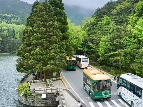 格力鈦新能源鐺鐺車