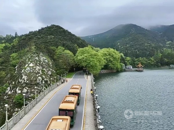 格力鈦新能源鐺鐺車