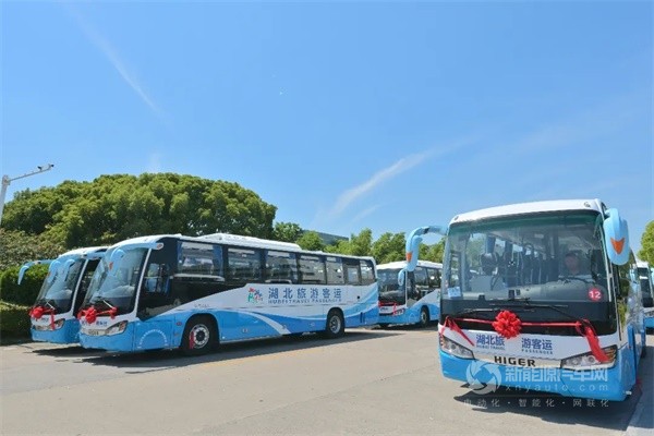 海格新能源客車