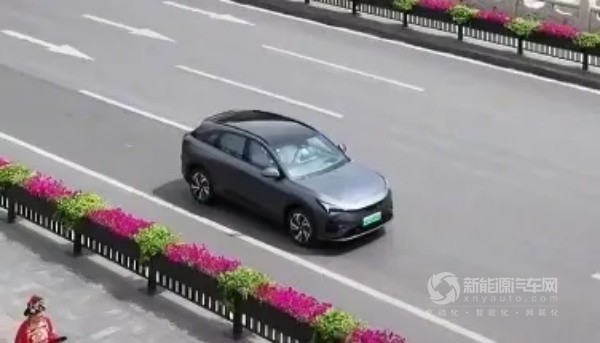 極狐