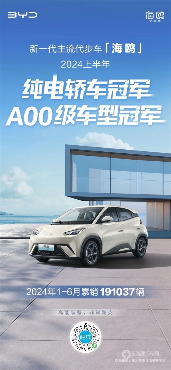 比亞迪海鷗