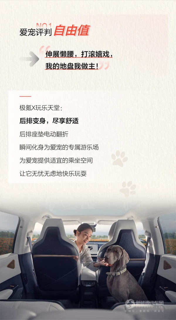 極氪X