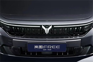 近40家品牌齊打CALL，嵐圖汽車四周年創(chuàng)史上最大規(guī)?？缙放坡?lián)動
