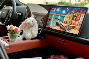 誰家的車搭子，這么可愛?是我的理想同學!
