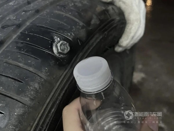 極狐