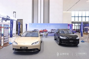 為大會(huì)增添了一抹綠色!遠(yuǎn)航汽車(chē)閃耀中國(guó)品牌節(jié)