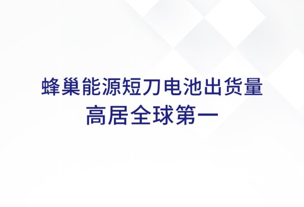蜂巢能源短刀電池