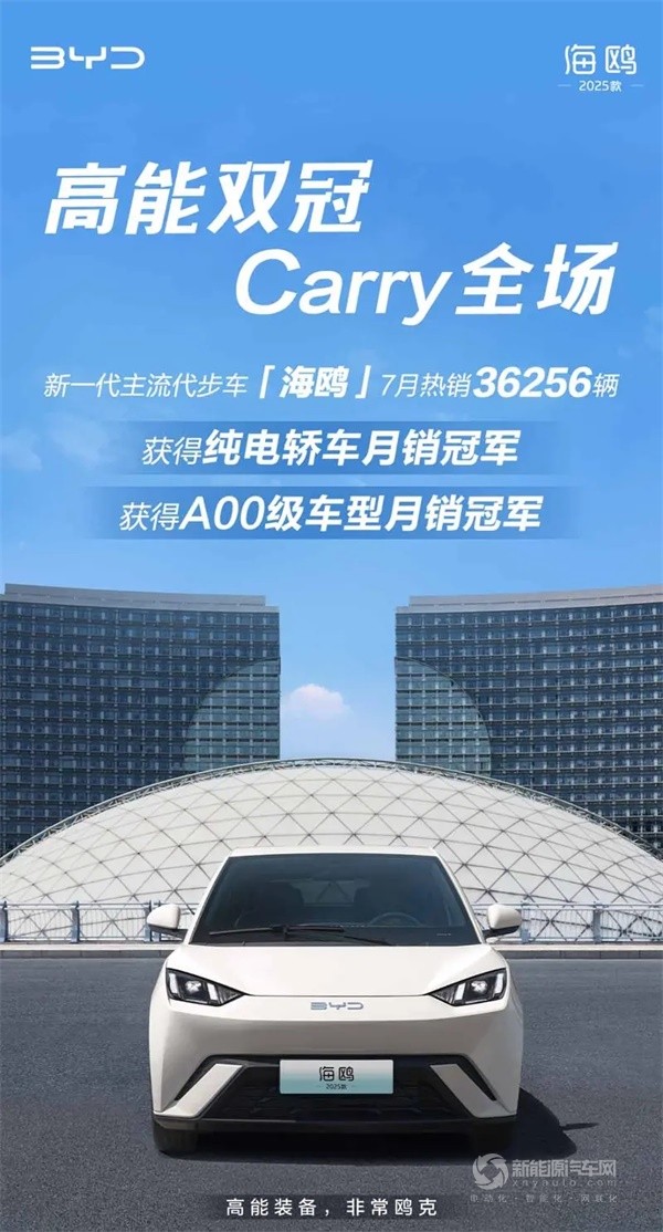 比亞迪海鷗