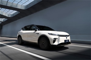 2024成都車展探館系列報(bào)道：嵐圖知音曝光