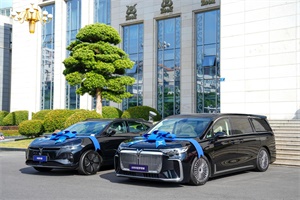 與新時代中堅力量共行 嵐圖贈車致敬湖北奧運冠軍