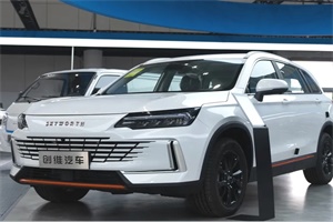 聚焦新能源汽車產(chǎn)業(yè)鏈協(xié)同，開沃集團(tuán)閃耀新能源汽車推介會(huì)