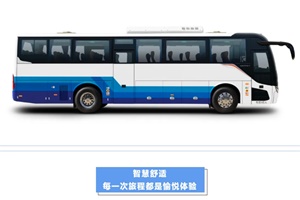 假期“后勁兒”未退?歐輝純電城間客車等你再次同程!