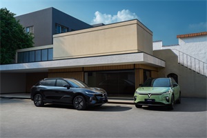 超過(guò)Model Y!“20萬(wàn)純電新卷王”嵐圖知音能效摘全球量產(chǎn)車第一