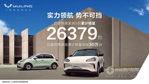 五菱繽果