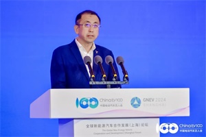 嵐圖汽車CEO盧放：深耕海外戰(zhàn)略市場，逐步打造全球化公司