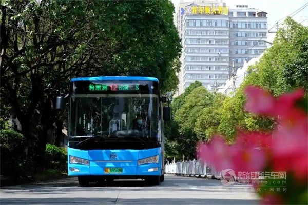 金旅新能源客車