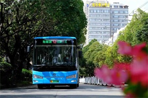大理公交批量引入金旅新能源客車(chē)，賦能城市美好出行