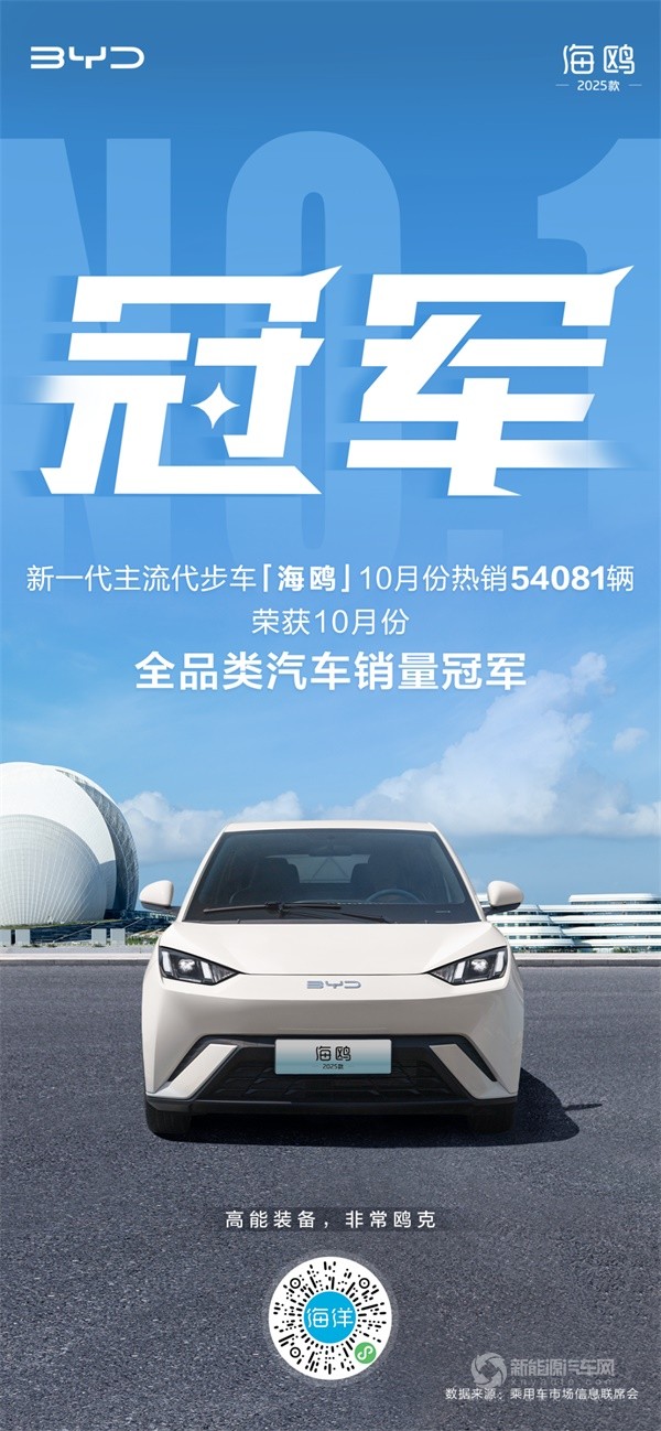 比亞迪海鷗