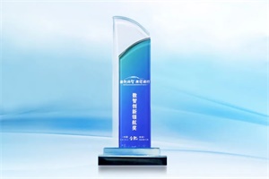 陽光電動(dòng)力持續(xù)深耕專業(yè)技術(shù) 榮獲“數(shù)智創(chuàng)新領(lǐng)航獎(jiǎng)”