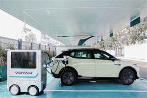 直面冬季用車焦慮!嵐圖高管冬日親自后備廂賣咖啡!?